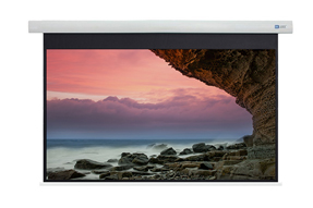 DELUXX Cinema Motorleinwand 221 x 124cm, 100