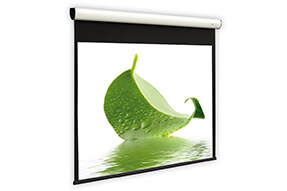 DELUXX Cinema Motorleinwand Elegance 16:9 Mattweiss Varico Flat 203 x 114 cm