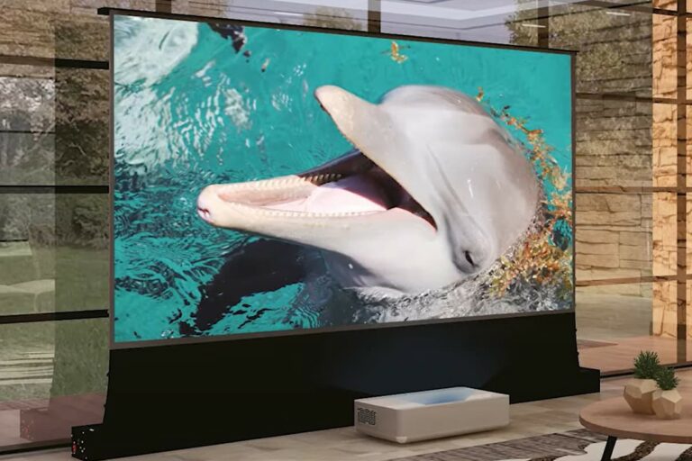 HomeCinema Leinwand HomeCinema-Leinwand2-2-768x512