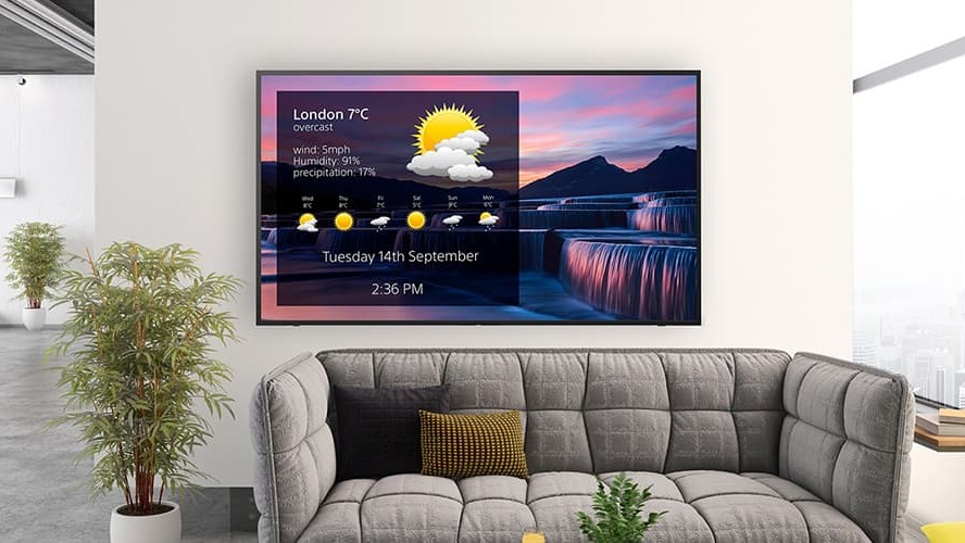 sony_display_corporate